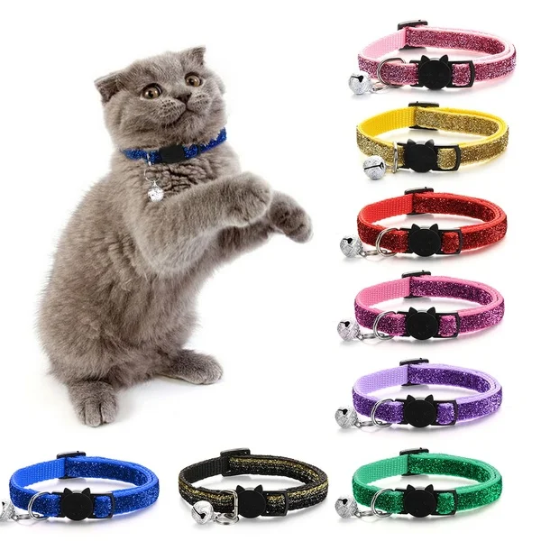 Cat Accessories